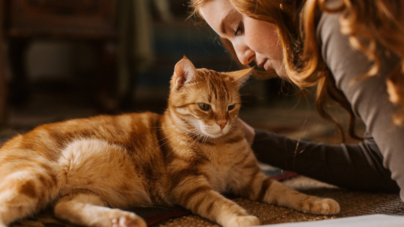 End of Life 4 End of Life 4