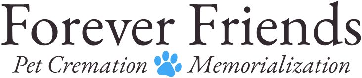 Forever Friends Forever Friends