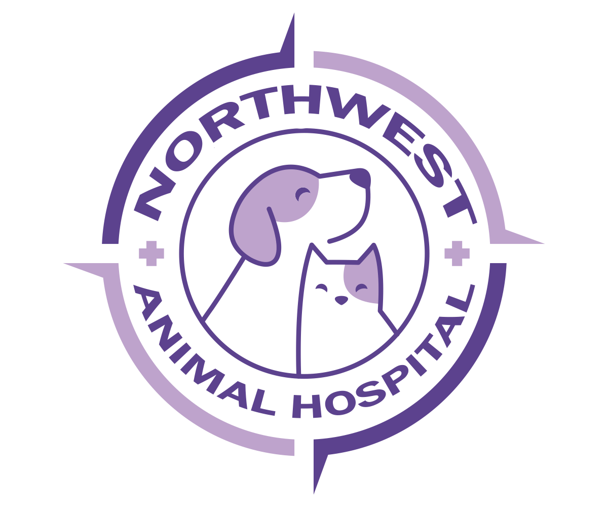 Northwest Animal Hospital